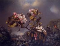 Heade, Martin Johnson - Apple Blossoms and Hummingbird